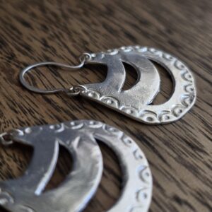 20251015_134718 Araucaria tree