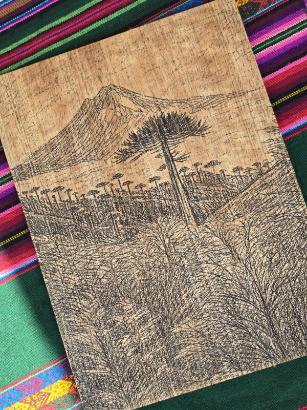 Wooden Engraved Araucaria Tree