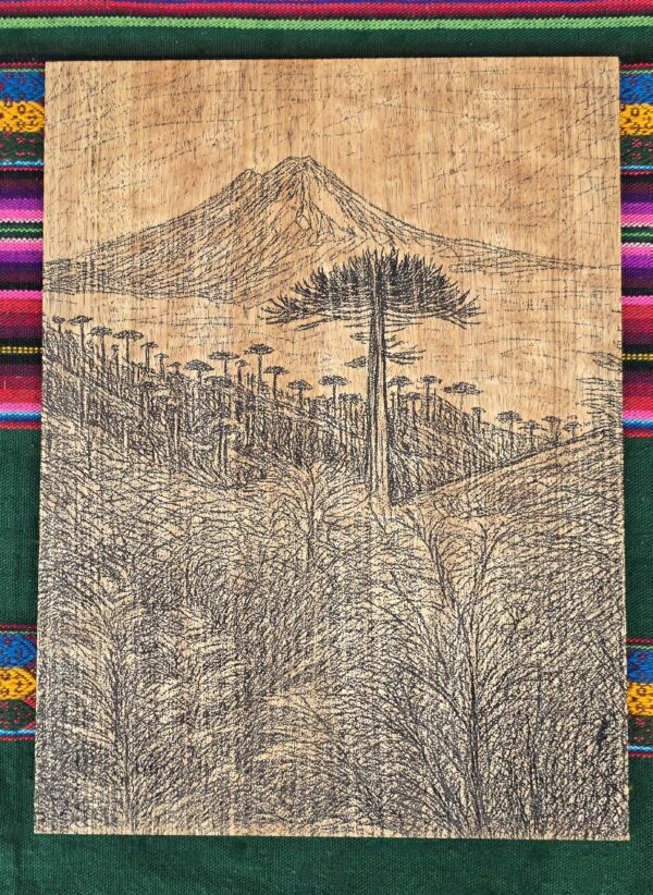 Wooden Engraved Araucaria Tree