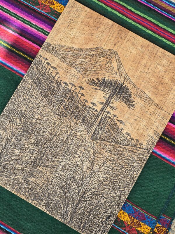 Wooden Engraved Araucaria Tree