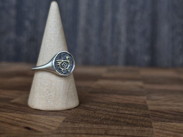 The ñandu signet / Anillo ñandu